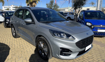 Ford Kuga pieno